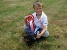 Class 9:Dog the Judges would most like to take home